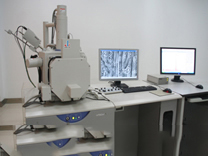 Scanning Electron Microscope 